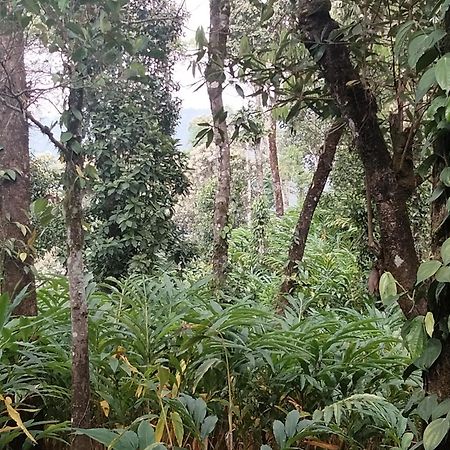 Spice Green Residency Pīrmed المظهر الخارجي الصورة